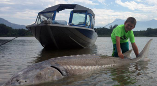 Illustration for article titled New Stoves, Sleeping Pads And Kids With 600lb Fish: What’s New Outside